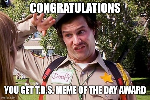 Special Officer Doofy | CONGRATULATIONS YOU GET T.D.S. MEME OF THE DAY AWARD | image tagged in special officer doofy | made w/ Imgflip meme maker