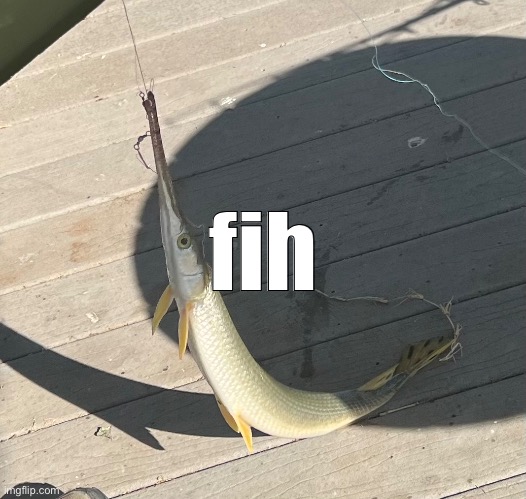 fih | made w/ Imgflip meme maker
