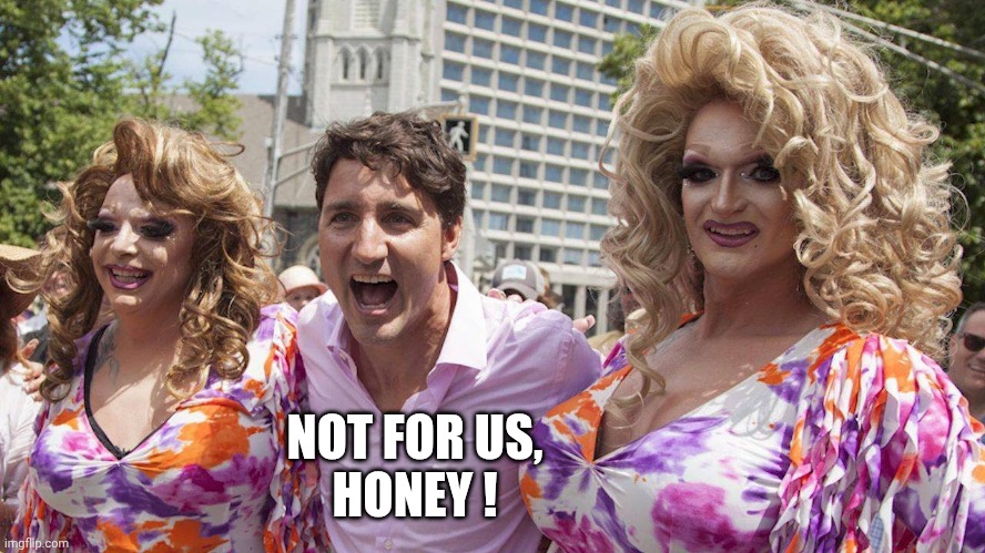 Trudeau with Trannies | NOT FOR US,
HONEY ! | image tagged in trudeau with trannies | made w/ Imgflip meme maker