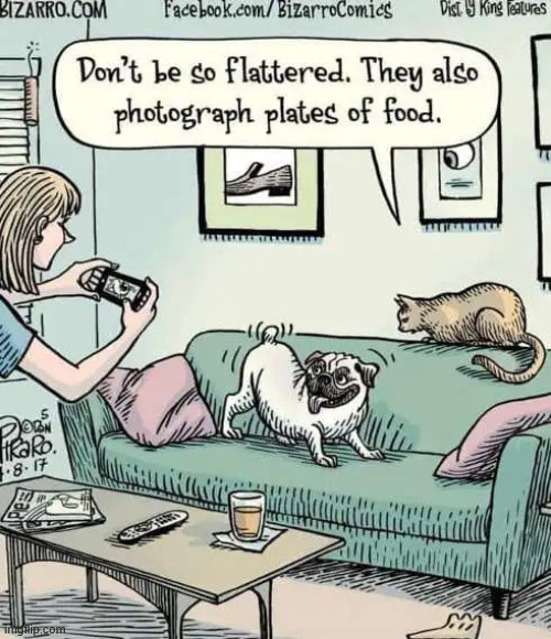 Photogenic | image tagged in repost,photogenic | made w/ Imgflip meme maker
