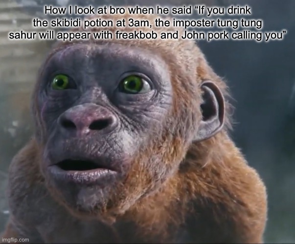 I hate myself for making this… | How I look at bro when he said “If you drink the skibidi potion at 3am, the imposter tung tung sahur will appear with freakbob and John pork calling you” | image tagged in funny suko | made w/ Imgflip meme maker