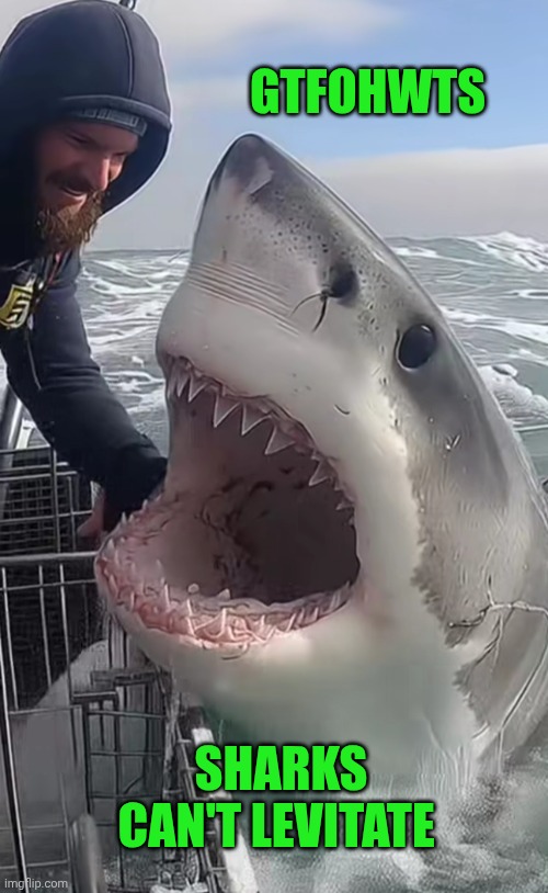 Funny | GTFOHWTS; SHARKS CAN'T LEVITATE | image tagged in funny,shark,gtfo,bullshit,artificial intelligence,cgi | made w/ Imgflip meme maker
