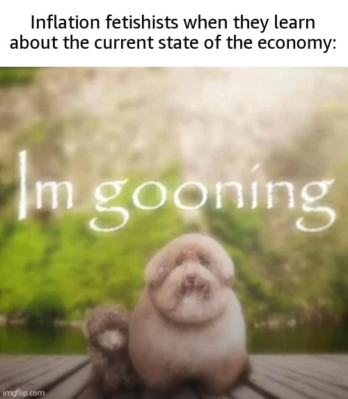 im gooning | Inflation fetishists when they learn about the current state of the economy: | image tagged in im gooning | made w/ Imgflip meme maker