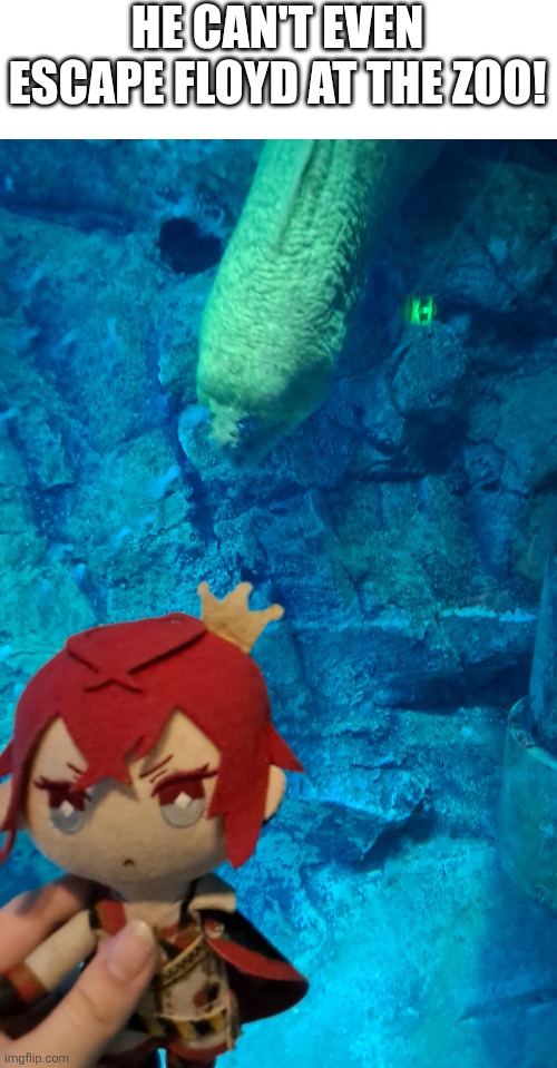 HE CAN'T EVEN ESCAPE FLOYD AT THE ZOO! | image tagged in twisted wonderland,riddle rosehearts,floyd leach | made w/ Imgflip meme maker