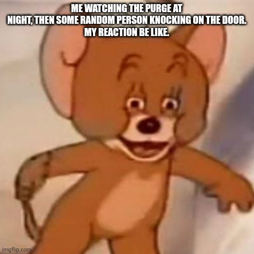 Polish Jerry | ME WATCHING THE PURGE AT NIGHT, THEN SOME RANDOM PERSON KNOCKING ON THE DOOR.
MY REACTION BE LIKE. | image tagged in polish jerry | made w/ Imgflip meme maker