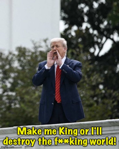 Trump on the roof | Make me King or I'll destroy the f**king world! | image tagged in trump on the roof | made w/ Imgflip meme maker