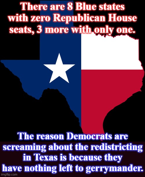 Democrats are running out of ways to cheat. | There are 8 Blue states with zero Republican House seats, 3 more with only one. The reason Democrats are screaming about the redistricting in Texas is because they have nothing left to gerrymander. | image tagged in texas map,crying democrats,liberal hypocrisy | made w/ Imgflip meme maker