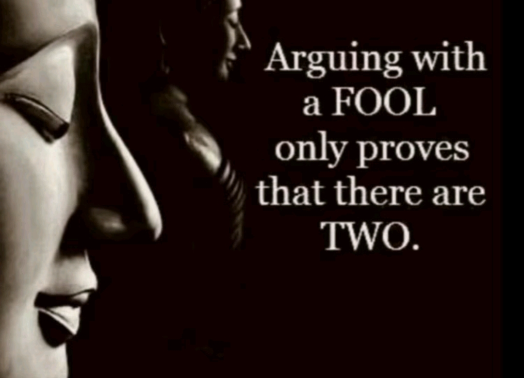 Arguing with a fool a fool only proves that there are two fools Blank Meme Template
