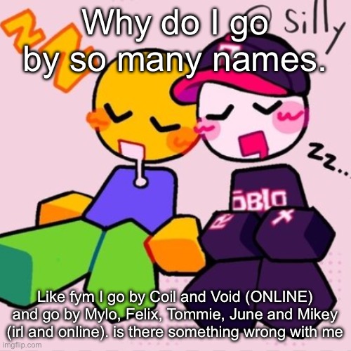 Gayass noob temp | Why do I go by so many names. Like fym I go by Coil and Void (ONLINE) and go by Mylo, Felix, Tommie, June and Mikey (irl and online). is there something wrong with me | image tagged in gayass noob temp | made w/ Imgflip meme maker