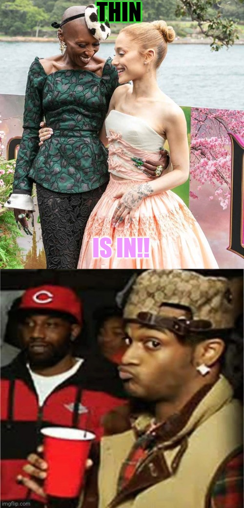 Wisdom of the Mainstream lol | THIN; IS IN!! | image tagged in wicked,old memes,crunchy | made w/ Imgflip meme maker
