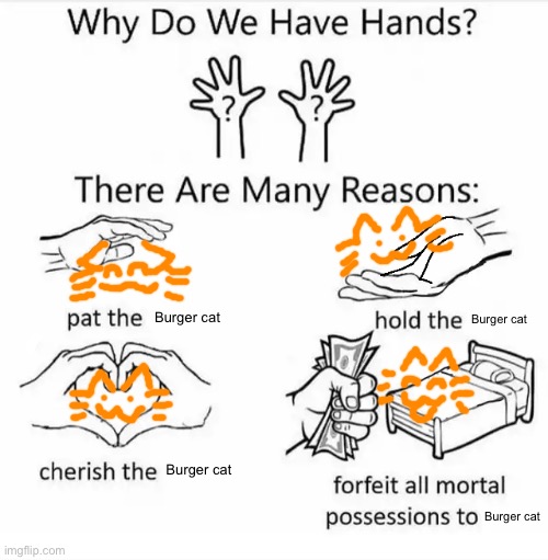 Why do we have hands? (all blank) | Burger cat; Burger cat; Burger cat; Burger cat | image tagged in why do we have hands all blank | made w/ Imgflip meme maker