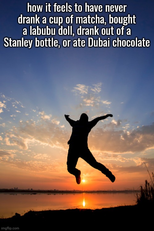 how it feels to | how it feels to have never drank a cup of matcha, bought a labubu doll, drank out of a Stanley bottle, or ate Dubai chocolate | image tagged in how it feels to | made w/ Imgflip meme maker