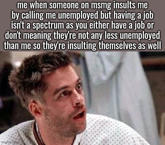 pro tip: try not to use insults that apply to yourself | me when someone on msmg insults me by calling me unemployed but having a job isn't a spectrum as you either have a job or don't meaning they're not any less unemployed than me so they're insulting themselves as well | image tagged in brad pitt 12 monkeys | made w/ Imgflip meme maker