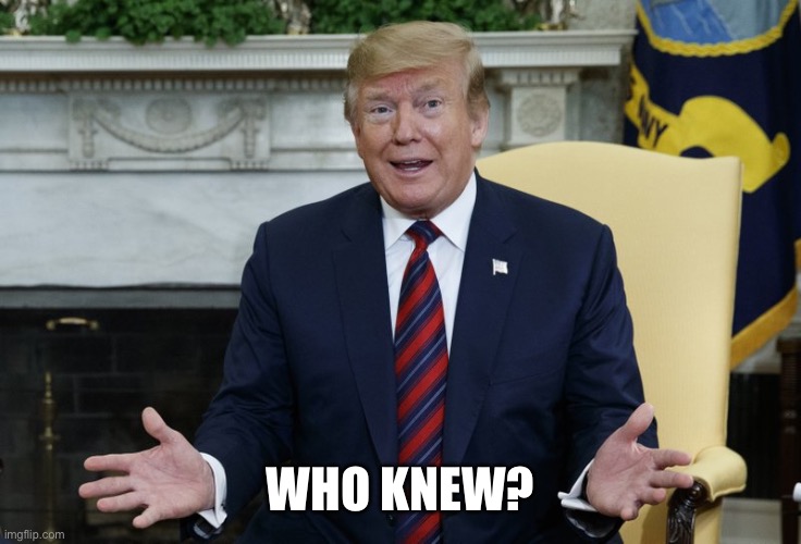 Who Knew? | WHO KNEW? | image tagged in who knew | made w/ Imgflip meme maker