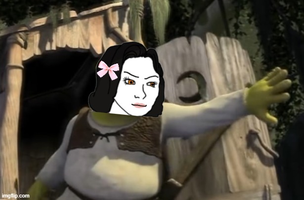 Shrek Opens the Door | image tagged in shrek opens the door | made w/ Imgflip meme maker