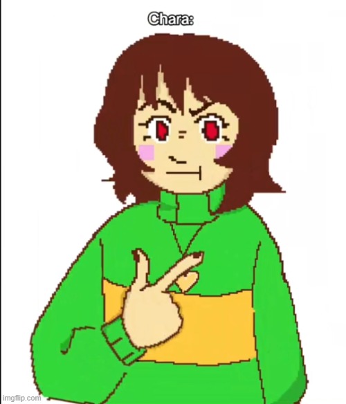 "I cant believe chara made me take berdly to the festival" | image tagged in chara | made w/ Imgflip meme maker