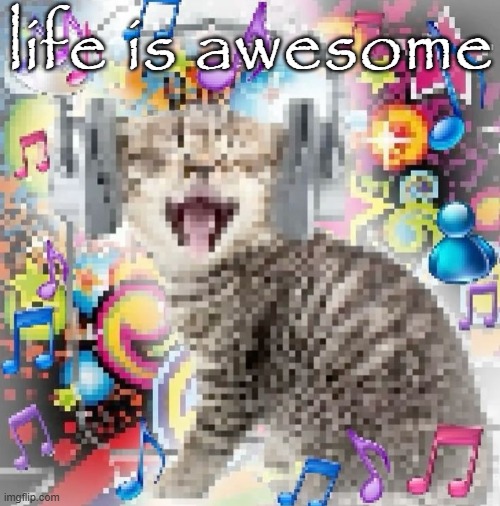 how it feels to not be a depressed teenanger: | life is awesome | image tagged in cat | made w/ Imgflip meme maker