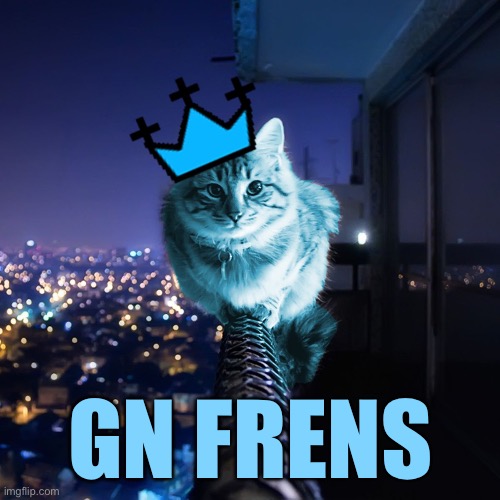 RayCat Wears The Crown | GN FRENS | image tagged in raycat wears the crown | made w/ Imgflip meme maker