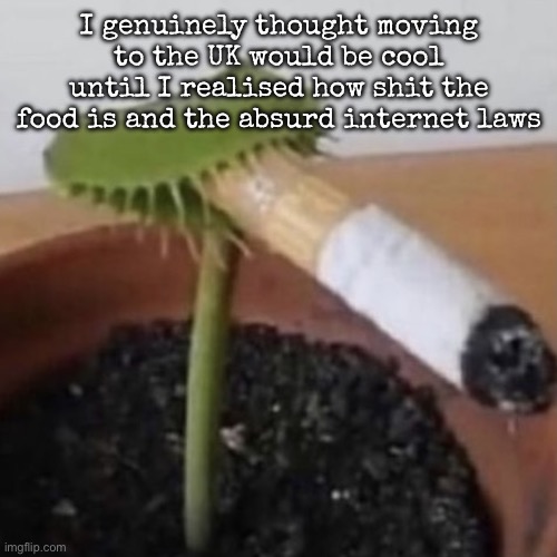 plant weeds | I genuinely thought moving to the UK would be cool until I realised how shit the food is and the absurd internet laws | image tagged in plant weeds | made w/ Imgflip meme maker