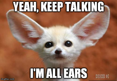 YEAH, KEEP TALKING I'M ALL EARS | image tagged in all ears,reactions | made w/ Imgflip meme maker