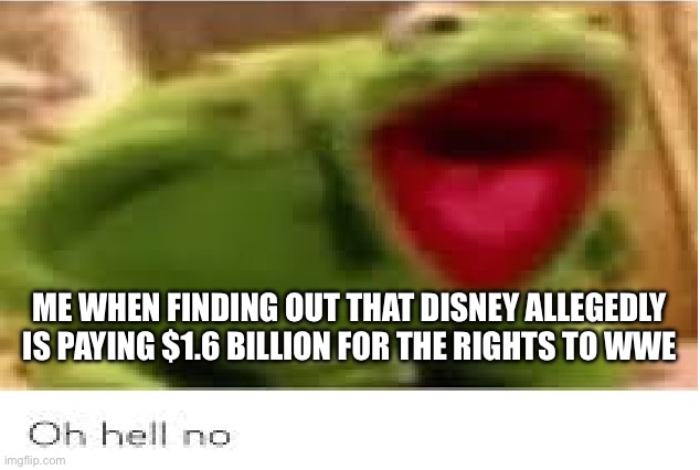 NO GOD PLEASE NO!!! | ME WHEN FINDING OUT THAT DISNEY ALLEGEDLY IS PAYING $1.6 BILLION FOR THE RIGHTS TO WWE | image tagged in oh hell no,wwe,disney,sports | made w/ Imgflip meme maker