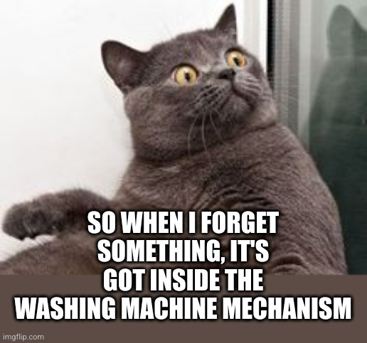 The moment when you realise.... Exams are in a month | SO WHEN I FORGET SOMETHING, IT'S GOT INSIDE THE WASHING MACHINE MECHANISM | image tagged in the moment when you realise exams are in a month | made w/ Imgflip meme maker