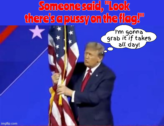 Pussy on the flag | Someone said, "Look there's a pussy on the flag!"; I'm gonna grab it if takes
 all day! | image tagged in pussy on the flag,pussy grabber,gropping our flag,trump hates the usa,trump is putin's puppet,maga the molester | made w/ Imgflip meme maker