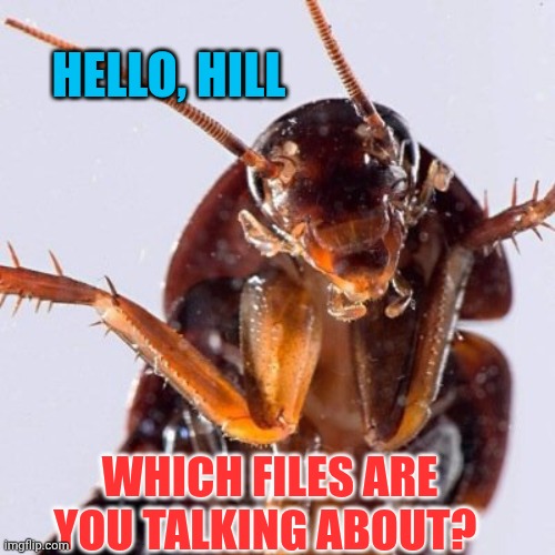 Roach | HELLO, HILL WHICH FILES ARE YOU TALKING ABOUT? | image tagged in roach | made w/ Imgflip meme maker
