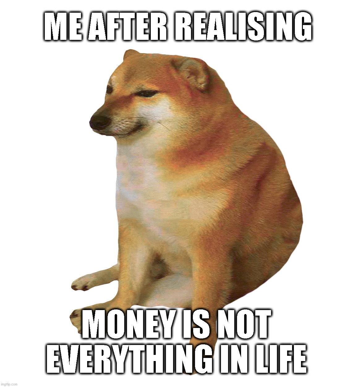 after realised | ME AFTER REALISING; MONEY IS NOT EVERYTHING IN LIFE | image tagged in cheems,dog,pets,animals | made w/ Imgflip meme maker