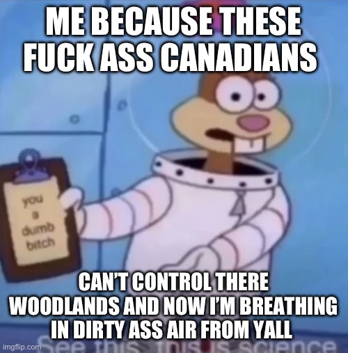 Canadians | ME BECAUSE THESE FUCK ASS CANADIANS; CAN’T CONTROL THERE WOODLANDS AND NOW I’M BREATHING IN DIRTY ASS AIR FROM YALL | image tagged in canada | made w/ Imgflip meme maker