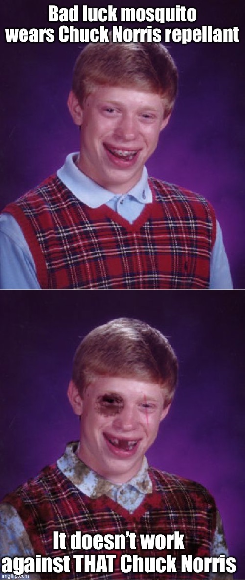 Bad luck mosquito wears Chuck Norris repellant It doesn’t work against THAT Chuck Norris | image tagged in memes,bad luck brian,beat-up bad luck brian | made w/ Imgflip meme maker