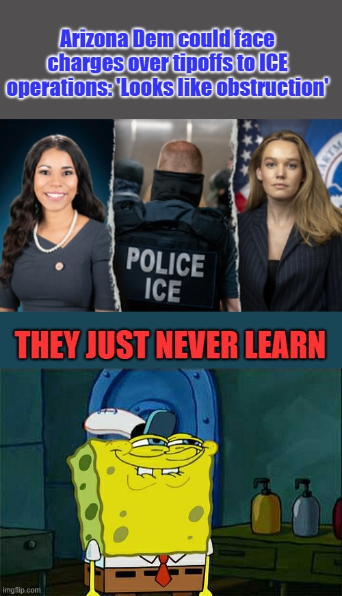 Great news enemies within need to be held accountable, NO ONES ABOVE THE LAW. | Arizona Dem could face charges over tipoffs to ICE operations: 'Looks like obstruction'; THEY JUST NEVER LEARN | image tagged in memes,don't you squidward | made w/ Imgflip meme maker