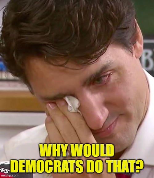 Justin Trudeau Crying | WHY WOULD DEMOCRATS DO THAT? | image tagged in justin trudeau crying | made w/ Imgflip meme maker