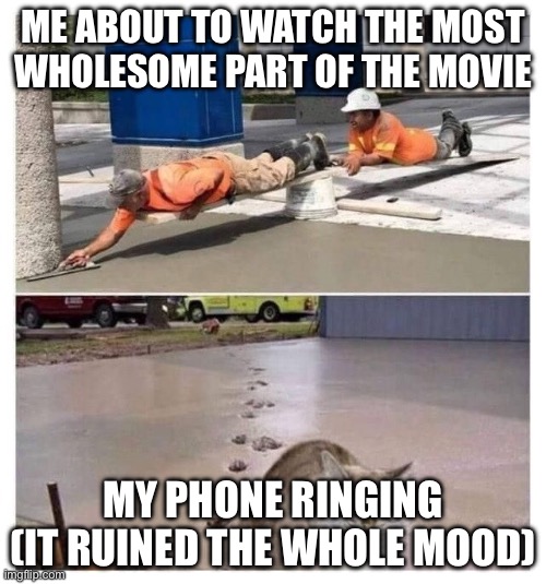 Did i do it? Did i find an original meme idea? | ME ABOUT TO WATCH THE MOST WHOLESOME PART OF THE MOVIE; MY PHONE RINGING (IT RUINED THE WHOLE MOOD) | image tagged in cat ruins concrete,movies | made w/ Imgflip meme maker