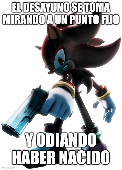Shadow the Hedgehog | EL DESAYUNO SE TOMA MIRANDO A UN PUNTO FIJO; Y ODIANDO HABER NACIDO | image tagged in shadow the hedgehog | made w/ Imgflip meme maker