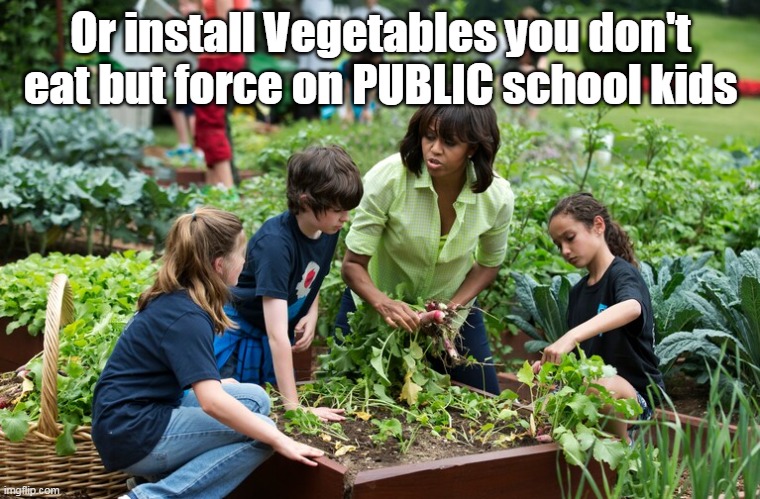Or install Vegetables you don't eat but force on PUBLIC school kids | made w/ Imgflip meme maker