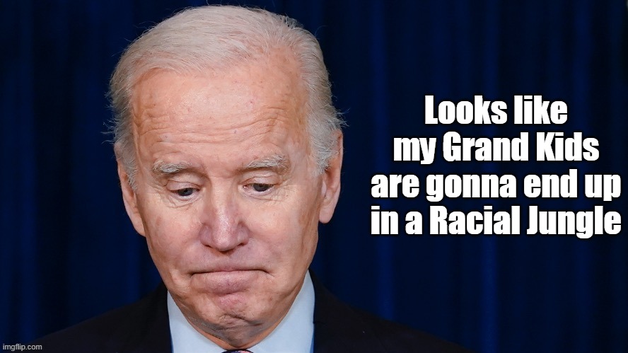 Looks like my Grand Kids are gonna end up in a Racial Jungle | made w/ Imgflip meme maker