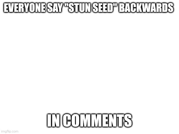 EVERYONE SAY "STUN SEED" BACKWARDS; IN COMMENTS | made w/ Imgflip meme maker