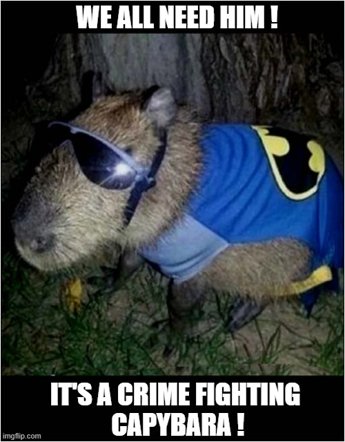 Holy Giant Rodent ! | WE ALL NEED HIM ! IT'S A CRIME FIGHTING
 CAPYBARA ! | image tagged in capybara,batman | made w/ Imgflip meme maker