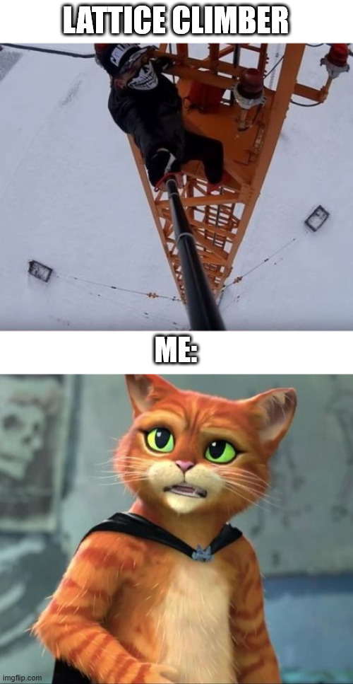 Puss in boots 2 | LATTICE CLIMBER; ME: | image tagged in lattice climbing,puss in boots 2,the last wish,memes,climbing memes,germany | made w/ Imgflip meme maker