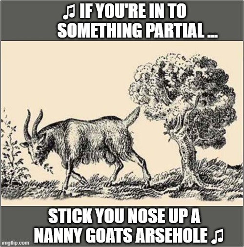 When You See It ... | ♫ IF YOU'RE IN TO
        SOMETHING PARTIAL ... STICK YOU NOSE UP A
   NANNY GOATS ARSEHOLE ♫ | image tagged in hidden,face,workers playtime,dark humour | made w/ Imgflip meme maker