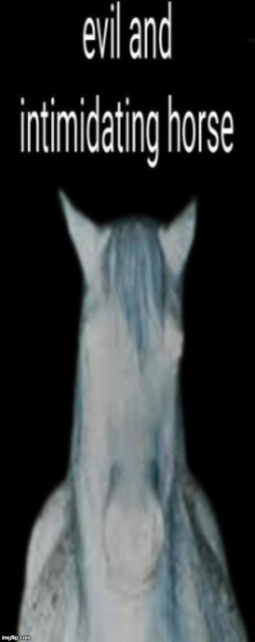 evil and intimidating horse | image tagged in evil and intimidating horse | made w/ Imgflip meme maker