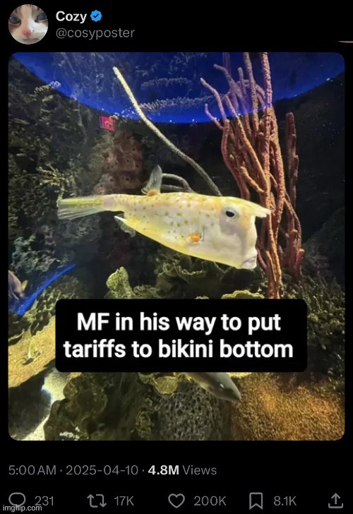 Flonald trunk | image tagged in memes,shitpost,donald trump,spongebob | made w/ Imgflip meme maker