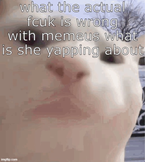 i showed you my | what the actual fcuk is wrong with memeus what is she yapping about | image tagged in i showed you my | made w/ Imgflip meme maker