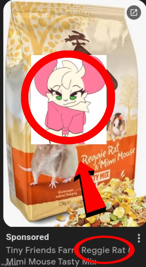 THE GAY RAT IS REAL | image tagged in rat,gay,name soundalikes,reggie,femboy | made w/ Imgflip meme maker