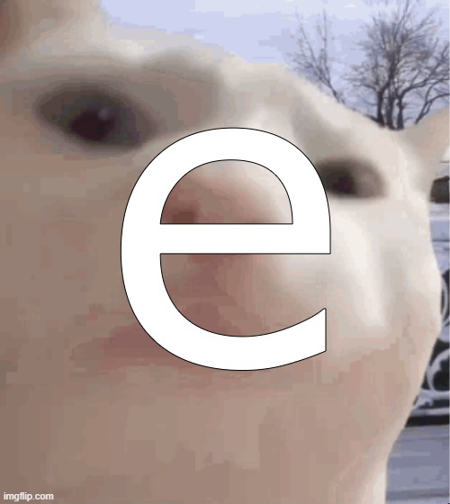 e | e | image tagged in e | made w/ Imgflip meme maker