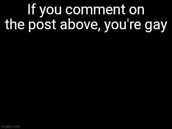If you comment on the post above, you're gay | made w/ Imgflip meme maker