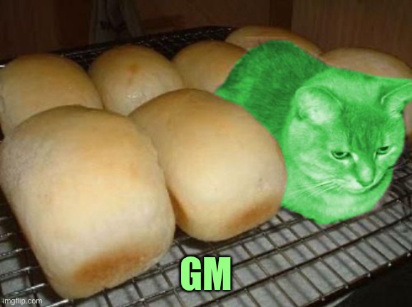 Loaf RayCat | GM | image tagged in loaf raycat | made w/ Imgflip meme maker