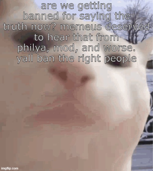 i showed you my | are we getting banned for saying the truth now? memeus deserved to hear that from philya, mod, and worse. yall ban the right people | image tagged in i showed you my | made w/ Imgflip meme maker