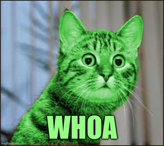 RayCat WTF | WHOA | image tagged in raycat wtf | made w/ Imgflip meme maker